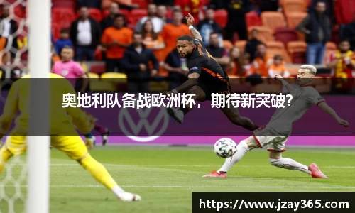 boyu博鱼官方app