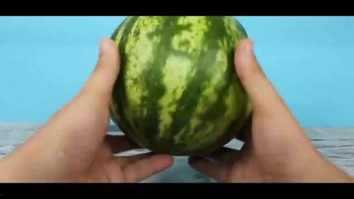 西瓜吃瓜黑料怎么做,真相与误解的碰撞