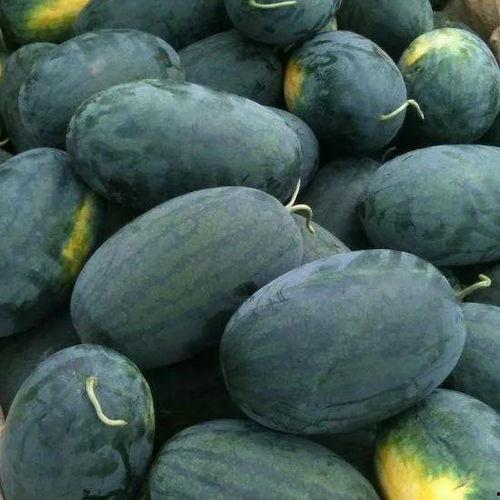 坎贝奇吃瓜黑料