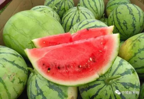 小叮当的一家黑料吃瓜,吃瓜群众热议背后的真相